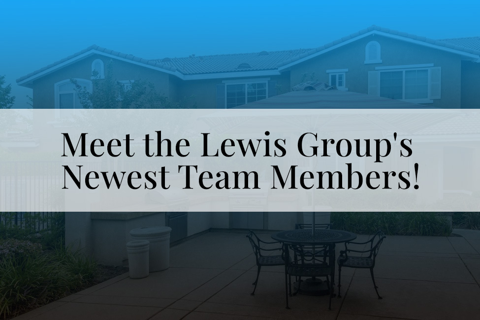 Meet the Lewis Group’s Newest Team Members