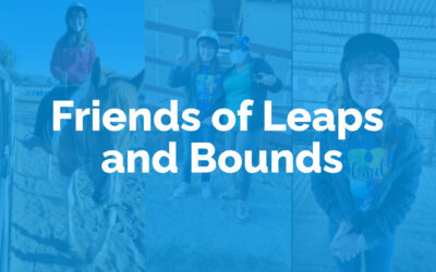 Friends of Leaps and Bounds