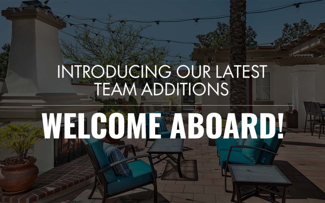 Introducing Our Latest Team Additions: Welcome Aboard!