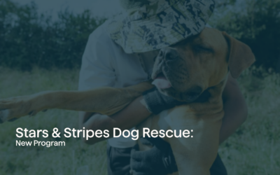 Stars & Stripes Dog Rescue: New Program